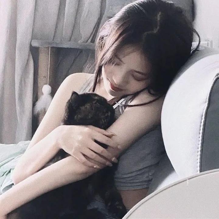 凤舞龙翔 排行封面